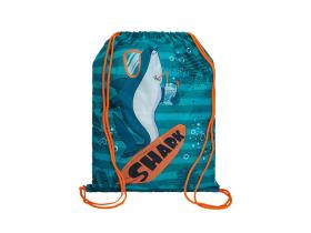 Мешки для обуви принтованные