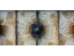 Очистка сточных вод от диметилсульфида