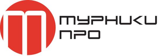 Фото №1 на стенде Turniki.pro, г.Санкт-Петербург. 772855 картинка из каталога «Производство России».