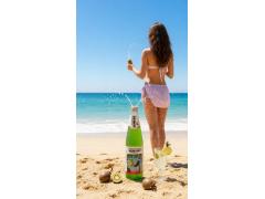 Фото 1 Газированный напиток «Грузинский акцент» Фейхоа, г.Чегем-Первый 2025