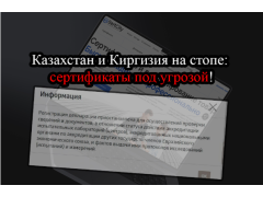 Сертификаты из Киргизии и Казахстана: риск остановки вашего бизнеса
