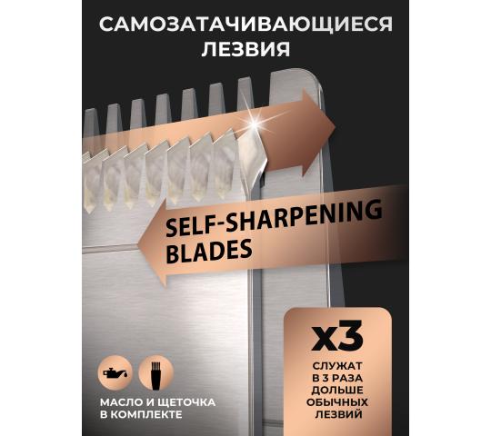 Фото 2 Обложка 2 2025