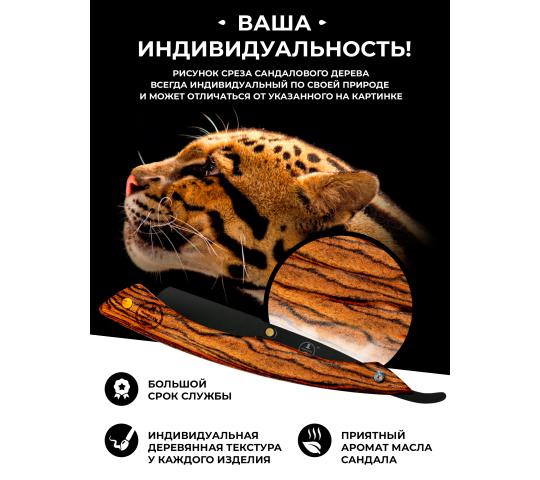 Фото 4 Обложка 4 2025