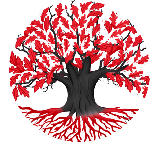 Фото опубликовано: ООО "Р-ТЕХ", ИНН 1660345356, rtekh.ru  ©