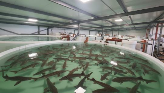 Фото 1 Производственная компания «УЗВПРОФИ», г.Зерноград