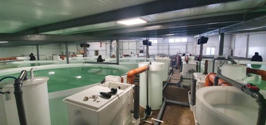 Фото 2 Производственная компания «УЗВПРОФИ», г.Зерноград