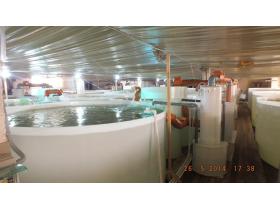 УЗВ комплекта для выращивания аквакультур