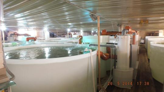 Фото опубликовано: ИП Лузан Сергей Васильевич, ИНН 611104860870, uzvprofi.ru  ©