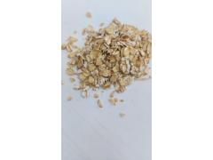 Фото 1 «Геркулес», г.Игра 2026