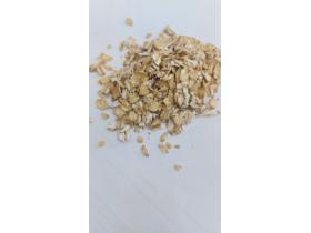 «Геркулес»