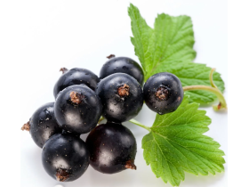 Черная смородина