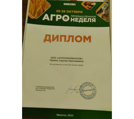 Фото 3 Диплом за участие в выставке
