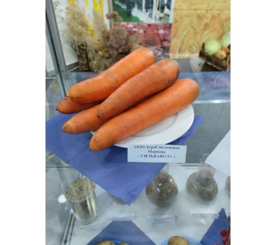 Фото 5 Морковь
