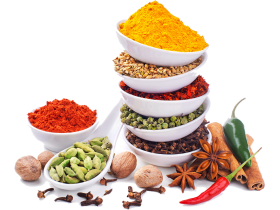 Производитель специй «СЭНДИ»