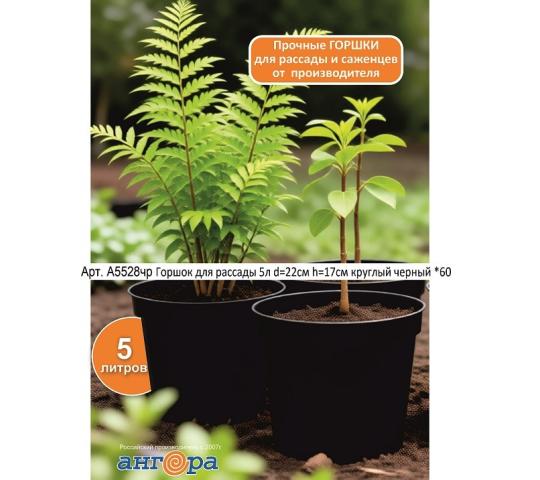 Фото опубликовано: ИП Гинтер Владимир Оттович, ИНН 741100106208, www.td-angora.ru  ©