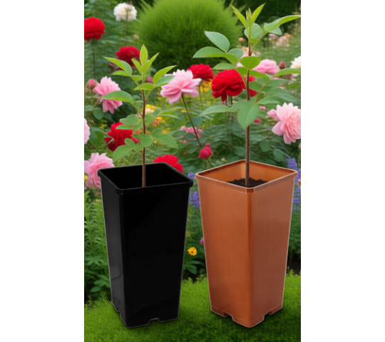 Фото опубликовано: ИП Гинтер Владимир Оттович, ИНН 741100106208, www.td-angora.ru © Фото опубликовано: ИП Гинтер Владимир Оттович, ИНН 741100106208, www.td-angora.ru ©