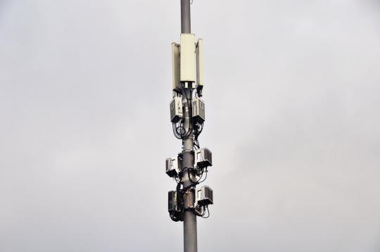 Фото опубликовано: ООО "ПОЗУМЕНТ ПРОЕКТ", ИНН 4205426044  ©