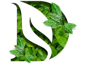 Производитель травяных напитков «ИП Раздрогина Е.В.»