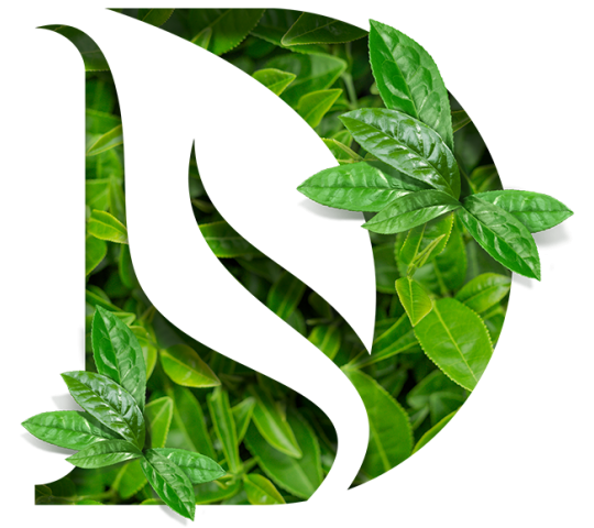 Фото опубликовано: ИП Раздрогина Елена Валериевна, ИНН 352802503443, www.dariela.ru  ©