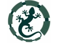 ООО «Дрилл Гекко Групп»