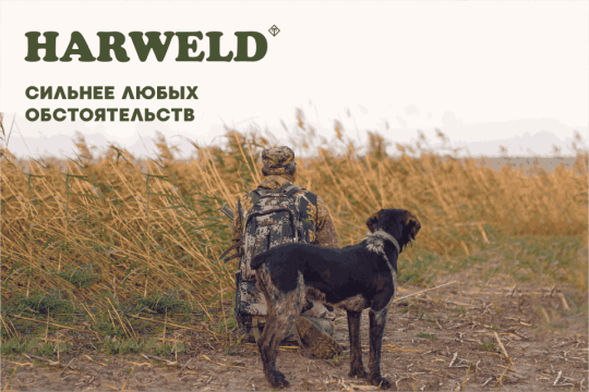 Фото опубликовано: ООО "ХАРВЕЛД", ИНН 7000004248, harweld.ru  ©