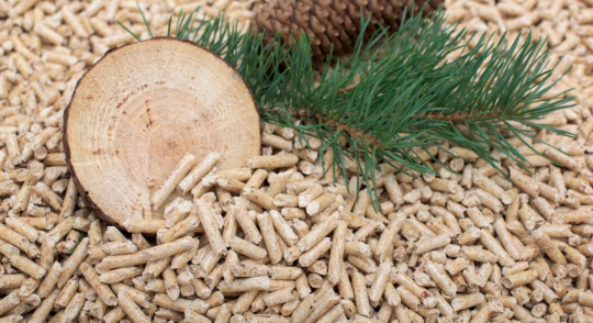 Фото опубликовано: ООО "КАСКАД НОРД", ИНН 5262390452, caskad.ru  ©