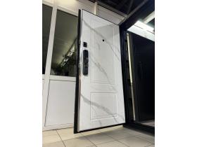 Входная дверь DS-145E_HogoV2