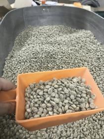 Производитель корма для собак «ИП Шкарупа К. Г.»