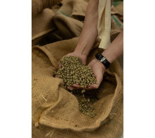 Фото 3 Производитель кофе «Колорс Кофе», г.Владимир