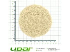 Кунжут семена