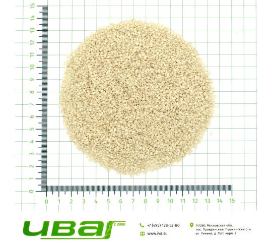 Фото 5 Кунжут семена, г.Пушкино 2026