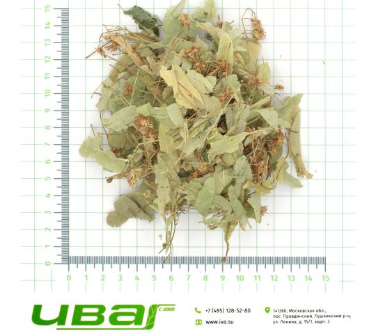 Фото 3 Липа цветки, г.Пушкино 2026