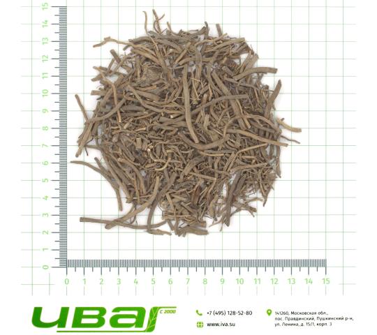 Фото 4 Валерианы корень в ассортименте, г.Пушкино 2026