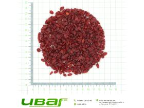 Барбарис плоды красные