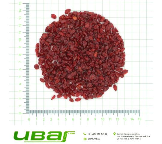 Фото 2 Барбарис плоды красные, г.Пушкино 2026