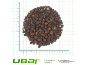 Боярышник плоды красные Россия