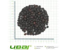 Боярышник плоды черные