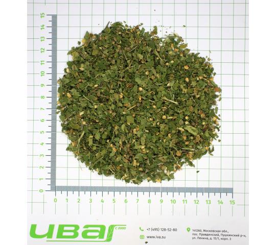 Фото 4 Боярышник цветки цельные, г.Пушкино 2026