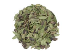 Брусника лист