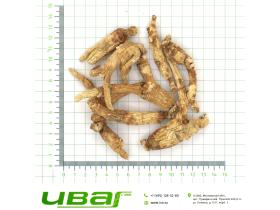 Женьшень корень в ассортименте