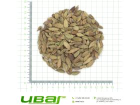 Кардамон целый  (Гондурас)