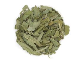 Кипрей (Иван-чай) Россия