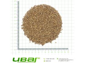 Кориандр плоды