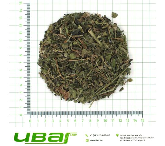 Фото 2 Крапива лист резаный 7мм, г.Пушкино 2026