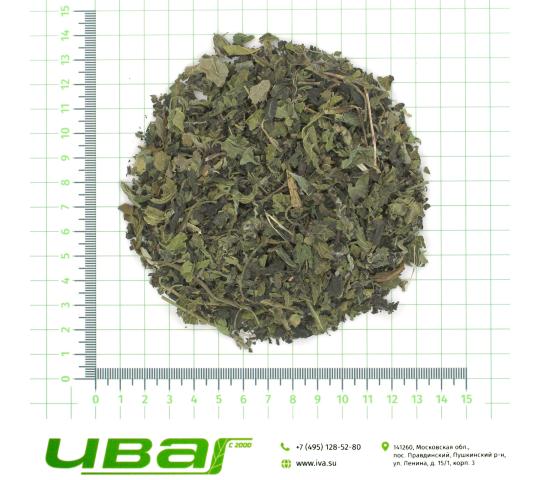 Фото 3 Крапива лист резаный 7мм, г.Пушкино 2026