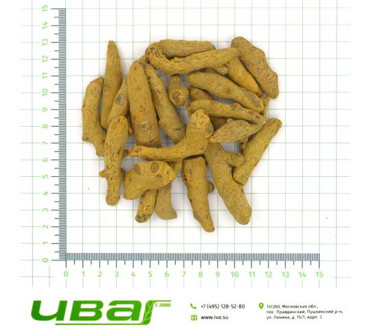 Фото 6 Куркума корень, г.Пушкино 2026