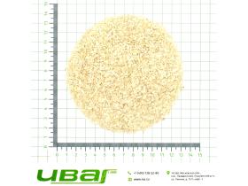Лук репчатый резаный 1-3 мм «А»  Индия