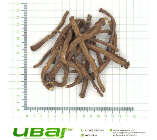 Фото 6 Одуванчик корень, г.Пушкино 2026