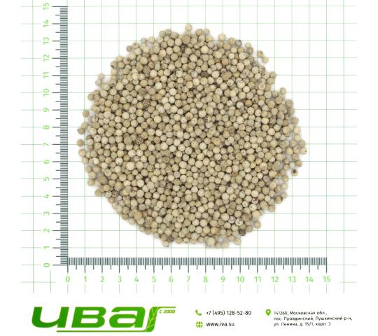 Фото 3 Перец белый горошек двойной очистки (630 г/л), г.Пушкино 2026