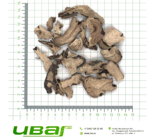 Фото 2 Пион корень резаный, г.Пушкино 2026